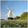 slides/Millers Light.jpg jack jill windmill south downs national park sunset summer west sussex flowers clear blue sky cow parsley campion warm glow Millers Light